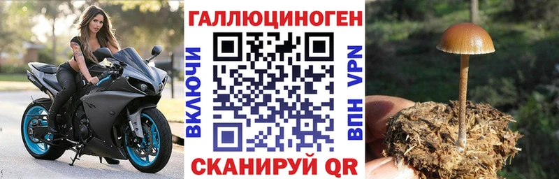 KRAKEN ONION  Электрогорск  Галлюциногенные грибы Psilocybine cubensis  как найти  