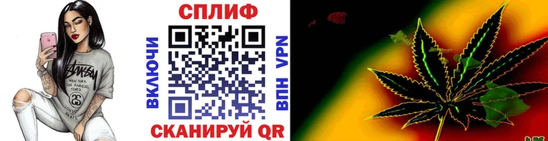 Канабис SATIVA & INDICA  hydra ссылка  Электрогорск  продажа наркотиков 